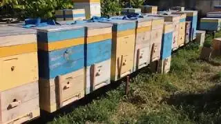 Какая нужна ширина летка/Прилетная доска в улье/задвижка на леток