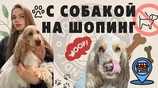 🐶С СОБАКОЙ В МАГАЗИН | НАС НЕ ПУСТИЛИ? ❌