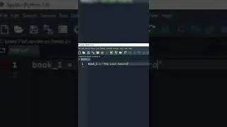 How to name and use variables in Python? 