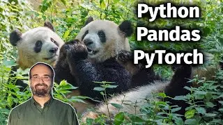 Introduction to Pandas for PyTorch Deep Learning (2.1)