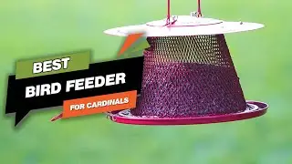 Best Bird Feeder For Cardinals Buying Guide- Top 7 Review [2024]