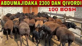 PULI YENGIL BOGOZ SOVLIQLAR KELDI TAVSIYA QILAMAN