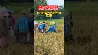 Grabagan🔥alat  buat memisahkan bulir padi dengan jerami