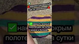 🍓как сделать ферментированный чай из земляники🍓 #shorts #земляника #чайизземляники #ферментация #чай