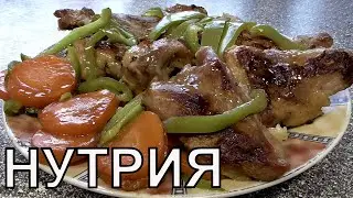 Нутрия Что и как приготовить из мяса нутрии Нутрия правильный рецепт