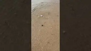 Океан на Бали весь в мусоре… :(
