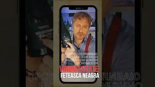 ЭТОТ МОЛДАВСКИЙ ВИНОГРАД НИ С ЧЕМ НЕ ПЕРЕПУТАЕШЬ. VINUM ESTATE. FETEASCA NEAGRA 20121