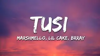 Marshmello, LiL CaKe, Brray - Tusi (Letra/Lyrics)