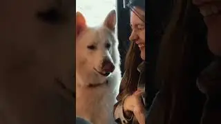 Привели в чувство винтажное бюро! 