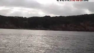 Tumlarsafari vid Kullaberg, Skåne.