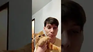 Поможем Паше найти сетку рабочего стола на 
