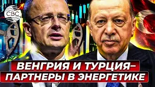 MOL и TPAO объединяют усилия в разведке и добыче нефти