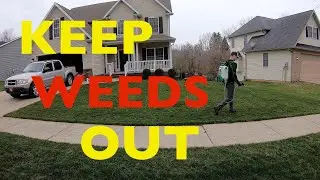 KEEP WEEDS OUT OF YOUR LAWN