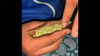 How to roll a backwood (THE RIGHT WAY)