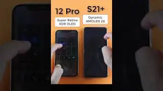 Super Retina XDR OLED vs Dynamic Amoled 2X 