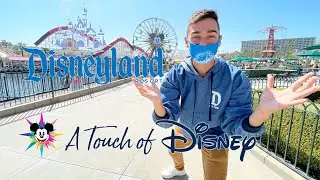 DISNEYLAND HAS REOPENED - A Touch Of Disney | First Look & Reaction in Disney's California Adventure