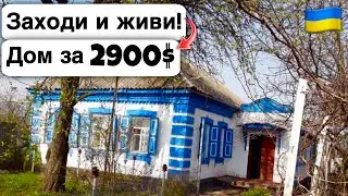 🇺🇦 Заходи и живи! Дом в селе за 2900$ Продажа недвижимости за копейки! Всё есть Уютное тихое село!