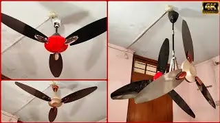 Ceiling Fan Duplex Vertical Drop/Wobble Test | Siblings from same Blood 👥 | 4K60fps 🔥🔥🔥