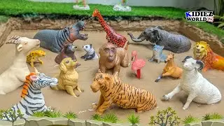 Mud Adventure Awaits! Explore with Elephant, Panda, Tiger, Lion & More