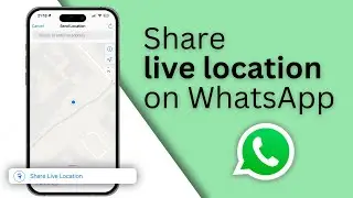 How to Share Live Location on WhatsApp | iPhone & Android