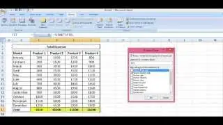 Excel 2007, 2010 : Protect Cells that Contain Formula in Excel