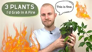 MY HOUSE IS ON FIRE AND I CAN ONLY GRAB 3 PLANTS... Which Do I Grab?