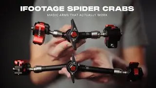 Magical Magic Arms: iFootage Spider Crabs