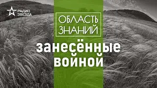 Где искать растения-полемохоры? Лекция биолога Натальи Решетниковой