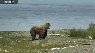 Lower River - Katmai National Park 2022 Season Highlights