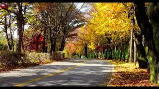 Copyright Free Videos for YouTube / Stock free footage