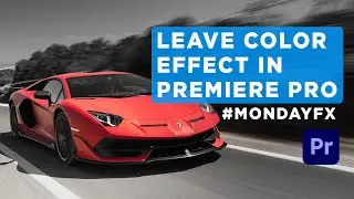 Leave Color effect in Premiere Pro | Premiere Pro Tutorial