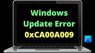 Fix Windows Update Error 0xCA00A009 on Windows 11