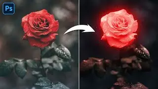 How to Glow a Rose using Photoshop | Easy Photoshop Tutorial