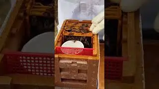 Для чего в нуклеусе Апидеа стакан? 