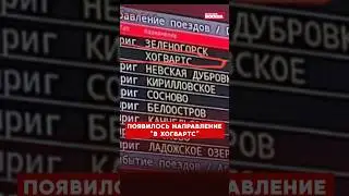В Хогвартс теперь можно уехать из Санкт-Петербурга 