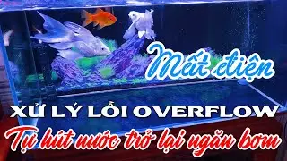 Xử lý lỗi bộ Overflow Tự hút nước trở lại ngăn Bơm khi mất điện