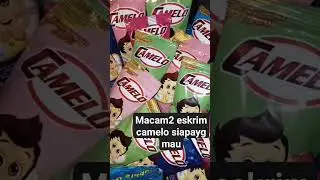 macam2 eskrim camelo hayu siapa yg mau 