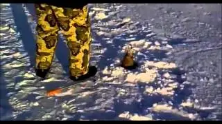 Рыбаки В ШОКе от этого улова!ВОТ ЭТО РЫБИНА!