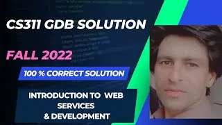 cs311 gdb solution fall 2022