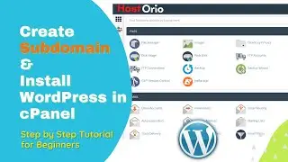 Create subdomain | install WordPress in cPanel | 2022 | Step by Step | Beginners WP Tutorial