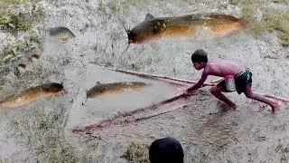 Awesome technology small boy catching fishing in the field using by small net