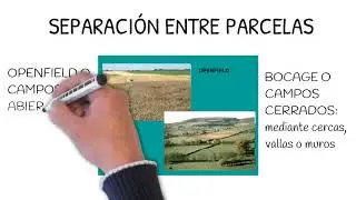 PAISAJE AGRARIO