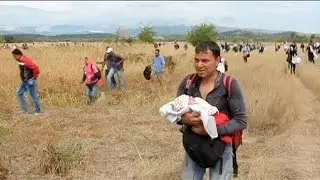 Chaos as migrants overpower police at Greek/FYR Macedonia border