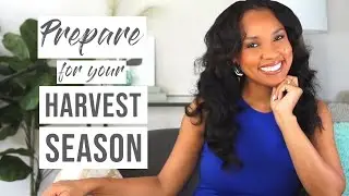 Do This for Your Breakthrough & Harvest Season