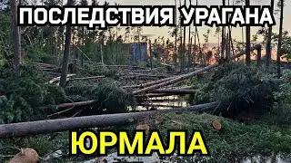 Последствия разрушительного урагана в Юрмале