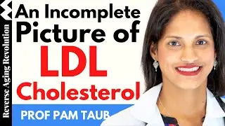 Keys To Look At Our Lipid Profile | Dr Pam Taub Presentation Clips