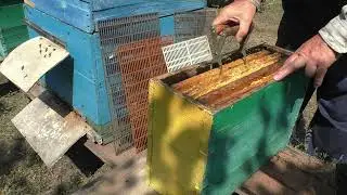 МАЛЫШОК ОТ СЛАБЫШКА.
