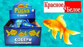 Собрали МИНИ РЫБОК из КБ / Лучшая игрушка за 20 рублей !