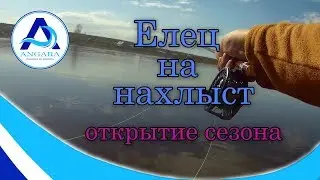 Рыбалка. Елец на нахлыст. Открытие сезона. Ангара.