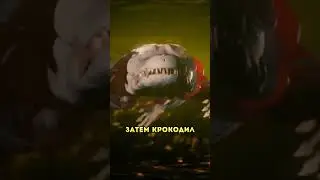 Как происходит укус крокодила 